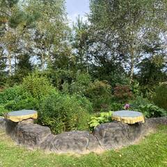 Дом из сруба на большой зеленой территории , Московская область