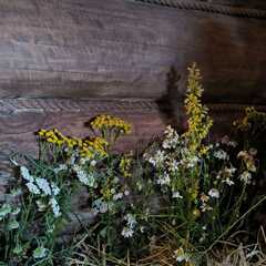Дом из сруба на большой зеленой территории , Московская область
