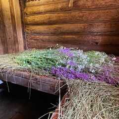 Дом из сруба на большой зеленой территории , Московская область