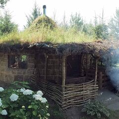 Дом из сруба на большой зеленой территории , Московская область