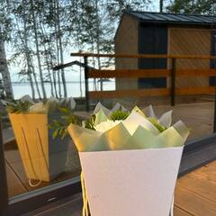 Глэмпинг На Холме, Республика Карелия