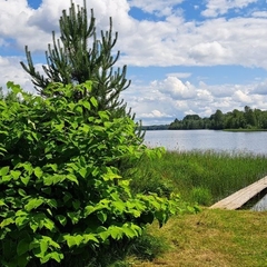 База отдыха Никольский стан, Новгородская область