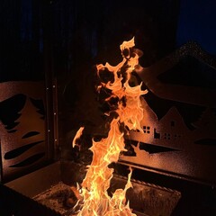 Дом Хутор Троллей, Ленинградская область