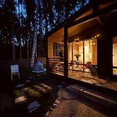 Дом Хутор Троллей, Ленинградская область