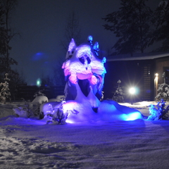 Дом Хутор Троллей, Ленинградская область