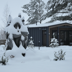 Дом Хутор Троллей, Ленинградская область