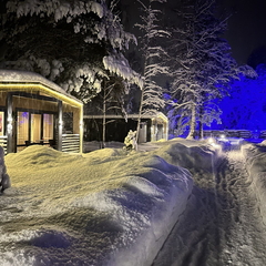 Дом Хутор Троллей, Ленинградская область