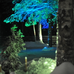 Дом Хутор Троллей, Ленинградская область