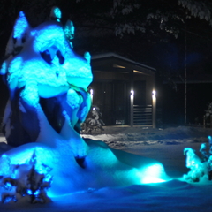 Дом Хутор Троллей, Ленинградская область