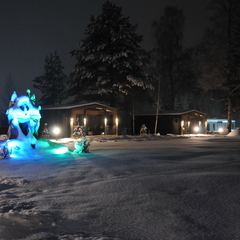 Дом Хутор Троллей, Ленинградская область