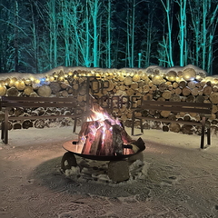 Дом Хутор Троллей, Ленинградская область