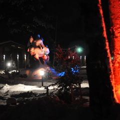 Дом Хутор Троллей, Ленинградская область