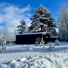 Дом Хутор Троллей, Ленинградская область