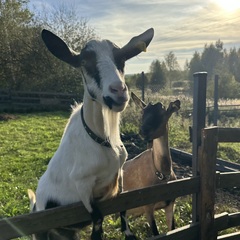 Эко-комплекс Ланьдиво, Московская область