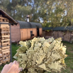 Эко-комплекс Ланьдиво, Московская область