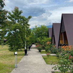 Коттеджный комплекс Алашара, Пицунда