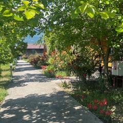 Коттеджный комплекс Алашара, Пицунда