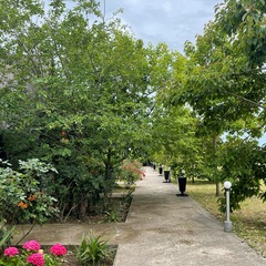 Коттеджный комплекс Алашара, Пицунда