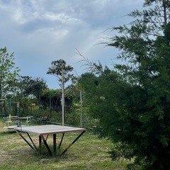 Коттеджный комплекс Алашара, Пицунда