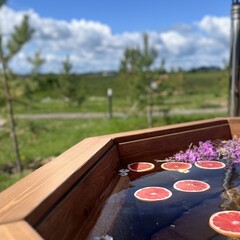 Эко-отель Катрин Лог, Тюменская область