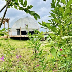 Эко-отель Катрин Лог, Тюменская область