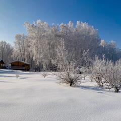 Эко-отель Альтаир Усть-Кокса, Республика Алтай