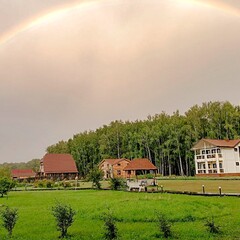Эко-отель Альтаир Усть-Кокса, Республика Алтай
