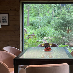 Гостевой дом Шале Шадрино, Московская область