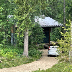 Гостевой дом Шале Шадрино, Московская область