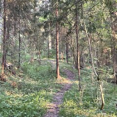 Гостевой дом Шале Шадрино, Московская область