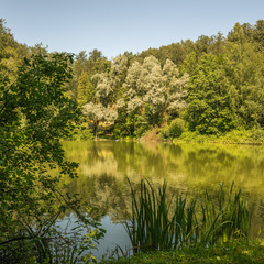 Парк-отель Усадьба Морозовка, Московская область