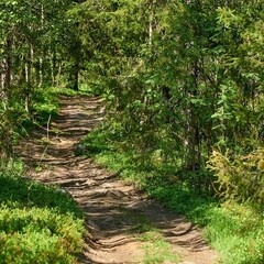 Парк отдыха Северное сияние, Мурманская область