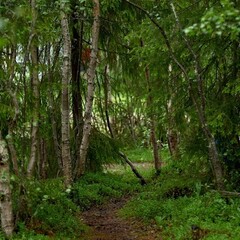 Парк отдыха Северное сияние, Мурманская область