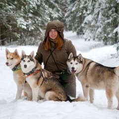 Парк отдыха Северное сияние, Мурманская область