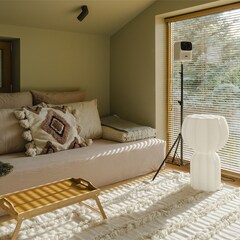 Гостевой дом Менчаково, Владимирская область