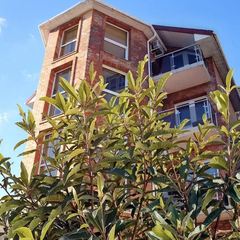 Гостевой дом Диана Аллама Групп, Краснодарский край