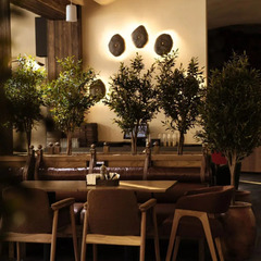 Отель 7Peaks Family Resort, Республика Карачаево-Черкесия 