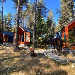 Турбаза Белый Волк, Республика Карачаево-Черкесия 