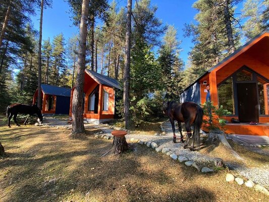 Белый Волк — фото 3