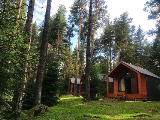 Белый Волк — фото 1