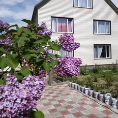 Гостевой дом Камчатдар, Камчатский край