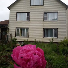 Гостевой дом Камчатдар, Камчатский край