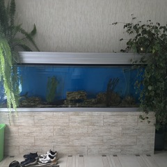 Гостевой дом Камчатдар, Камчатский край