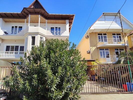 Внешний вид