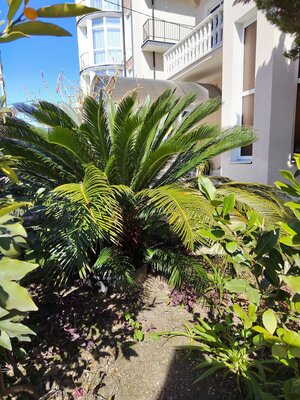 Территория