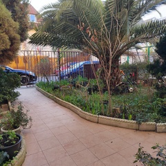 Гостевой дом Жемчуг (Адлер), Краснодарский край