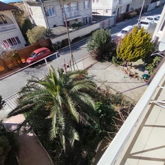 Гостевой дом Жемчуг (Адлер), Краснодарский край