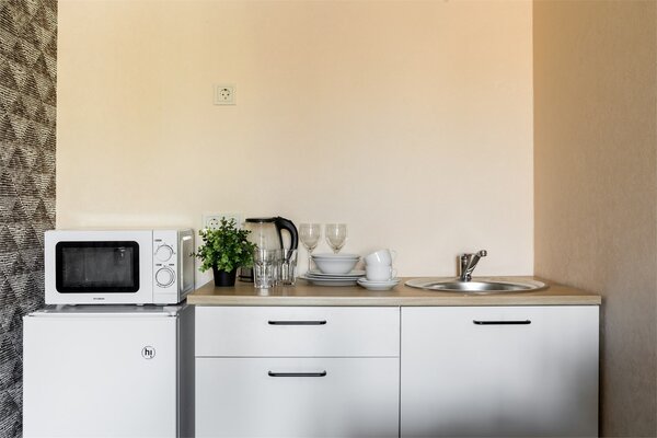 Апартаменты 2-местный (Комфорт с диваном)