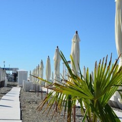 Гостевой дом Marco Polo (Адлер), Краснодарский край