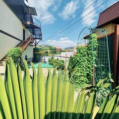 Гостевой дом Колибри Агой, Краснодарский край